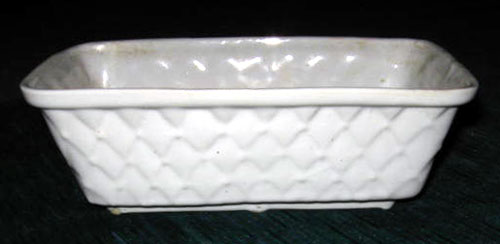 Back view