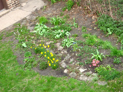 April to June--what a difference