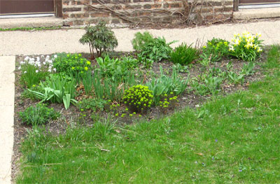 Another small bed--from April to June