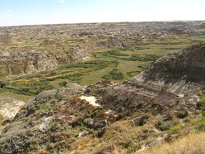 Dinosaur National Park, Alberta